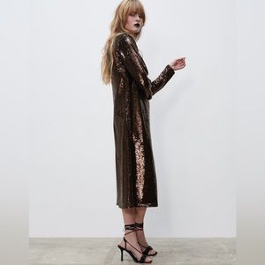 Zara Brown Sequin Dress